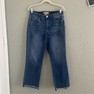 Democracy Blue Straight Leg Jeans